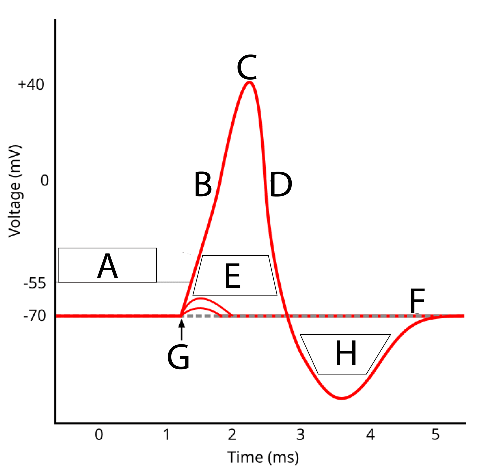 Question illustration for Q1