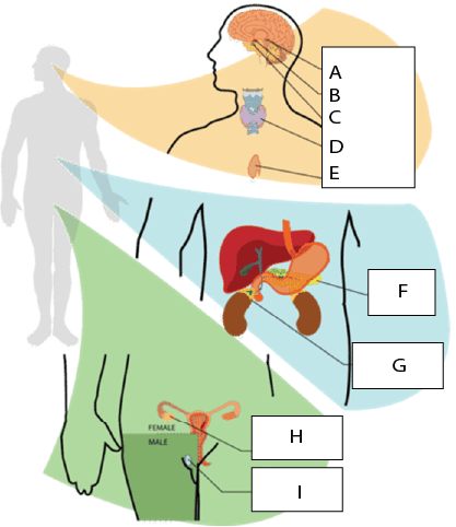 Question illustration for Q1